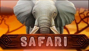 Safari Safari